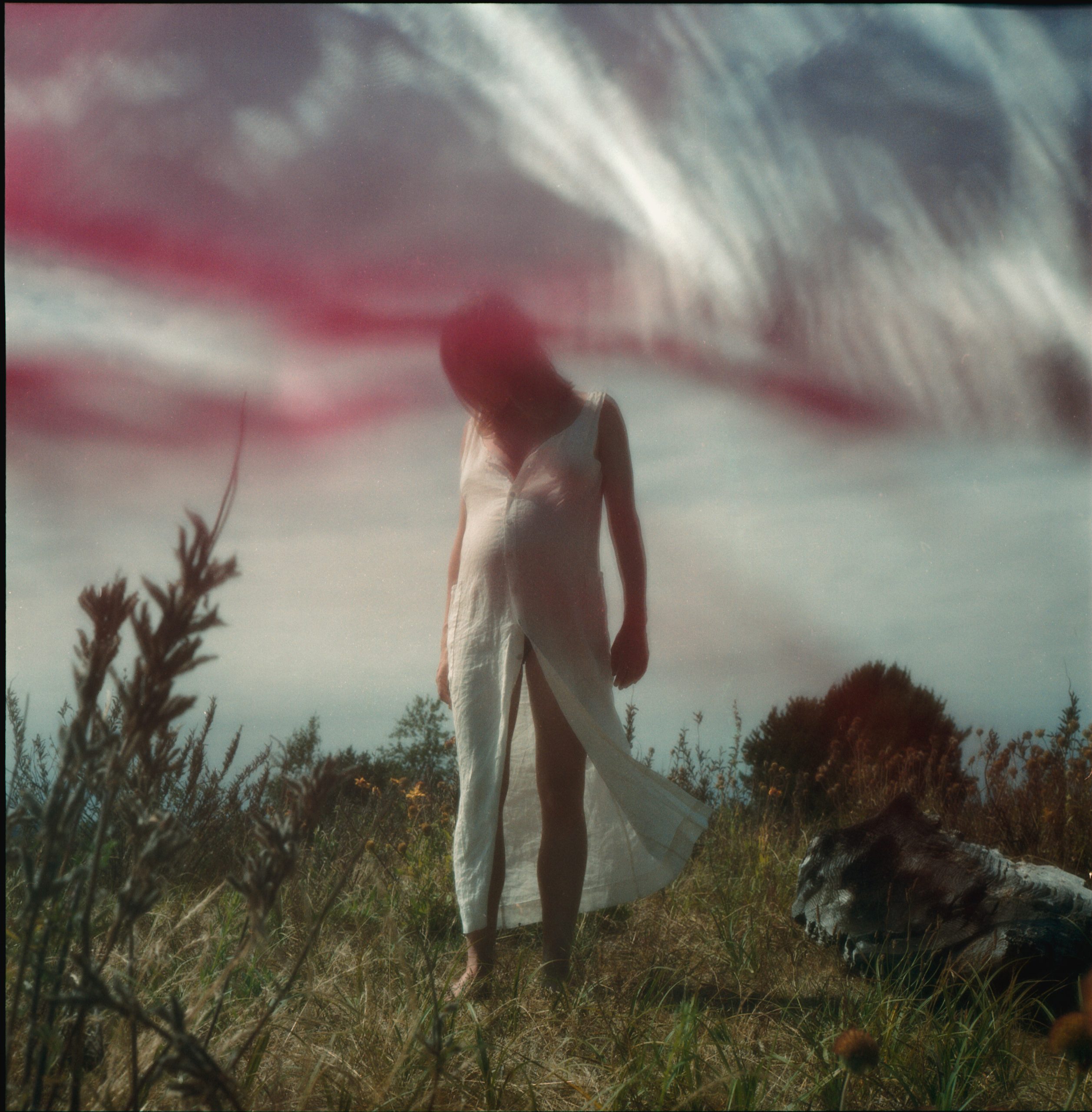 Film photography by Steph Varasteh