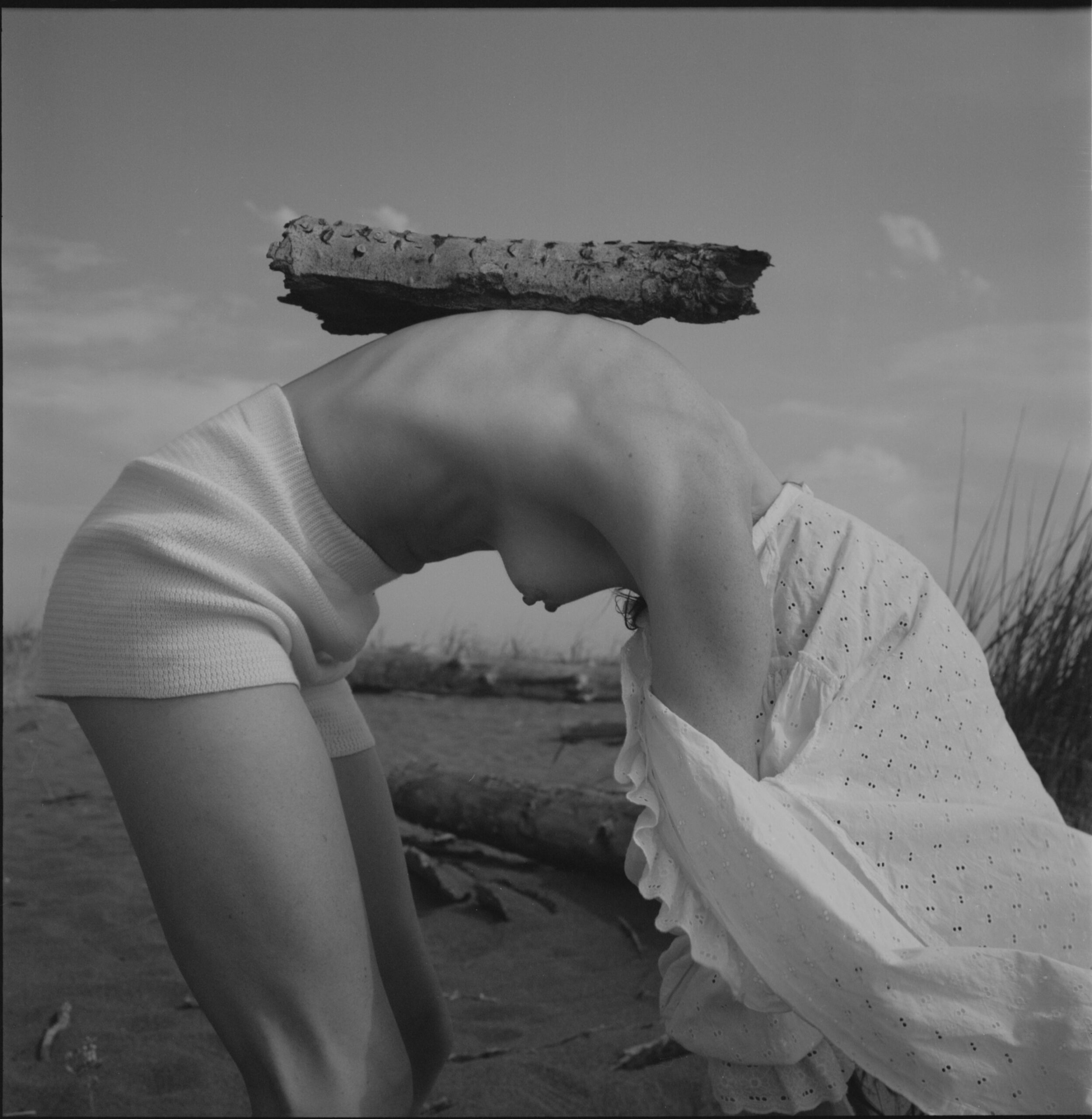 Fine art film photography by Steph Varasteh