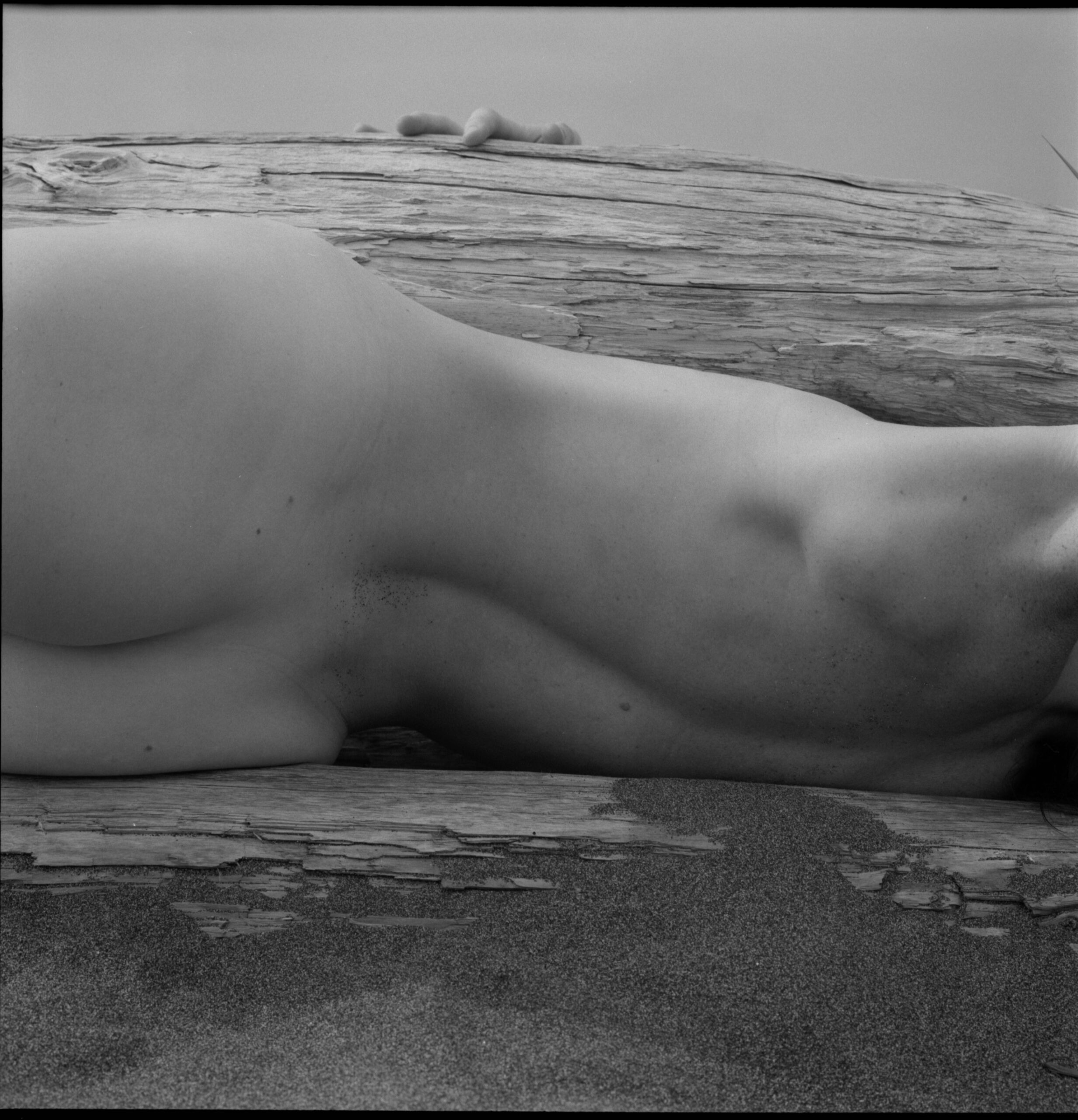 Film photography by Steph Varasteh