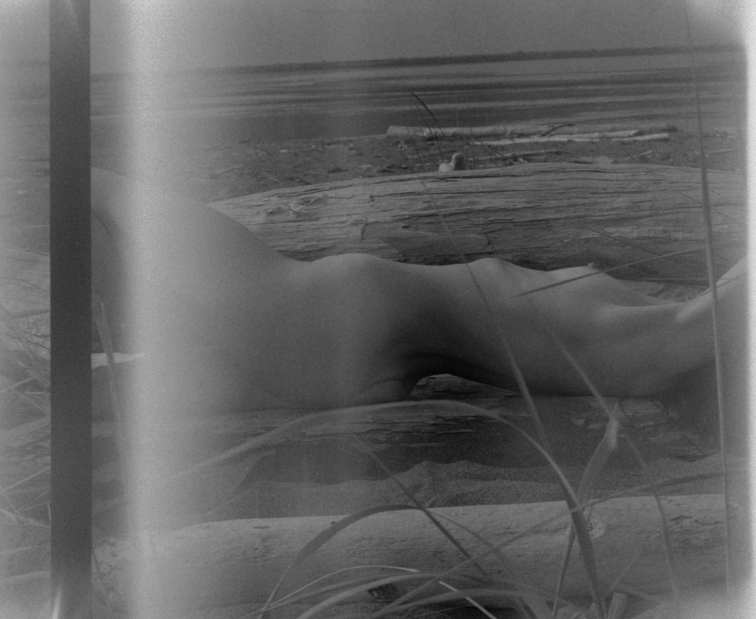 Fine art film photography by Steph Varasteh