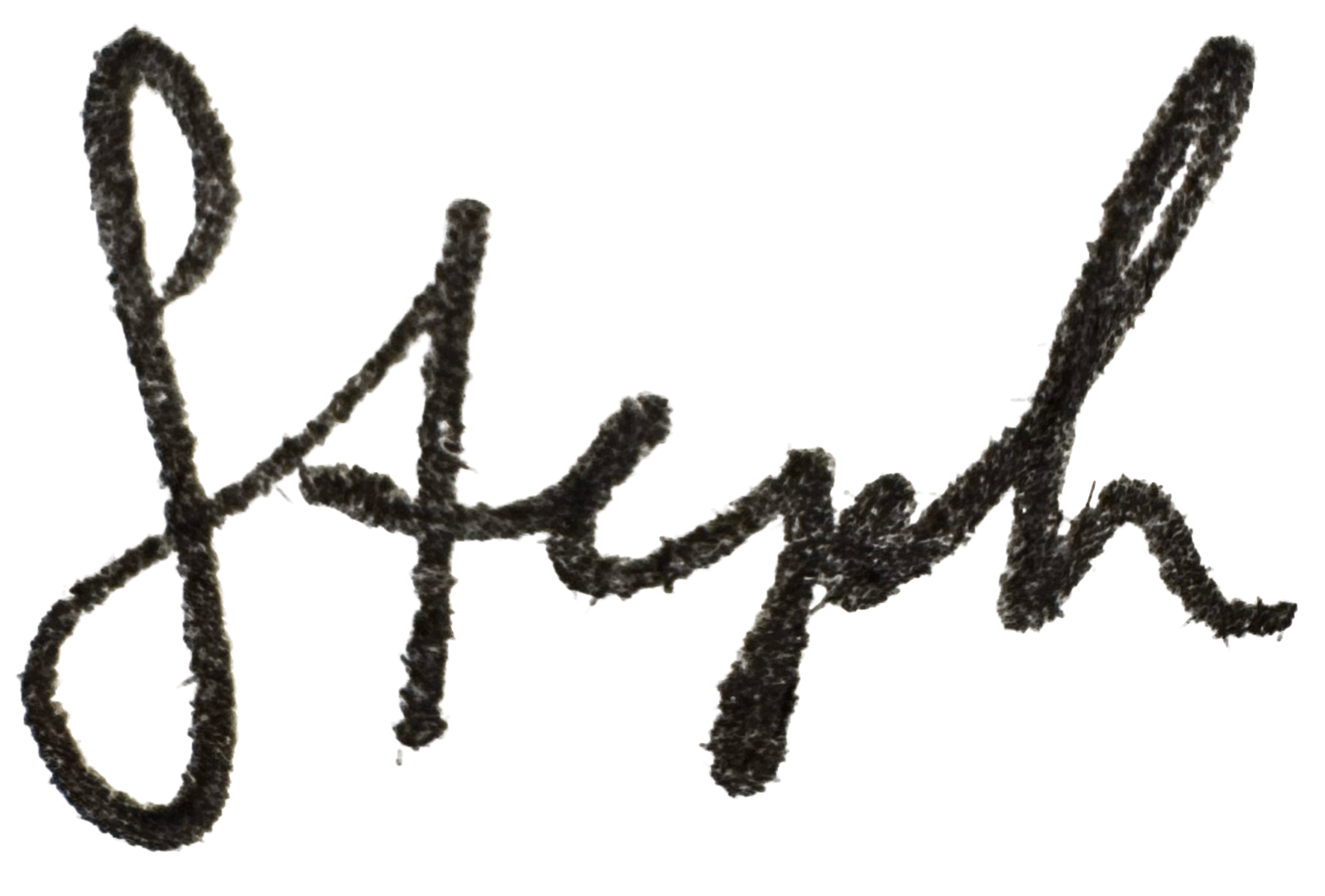 Steph Varasteh signature