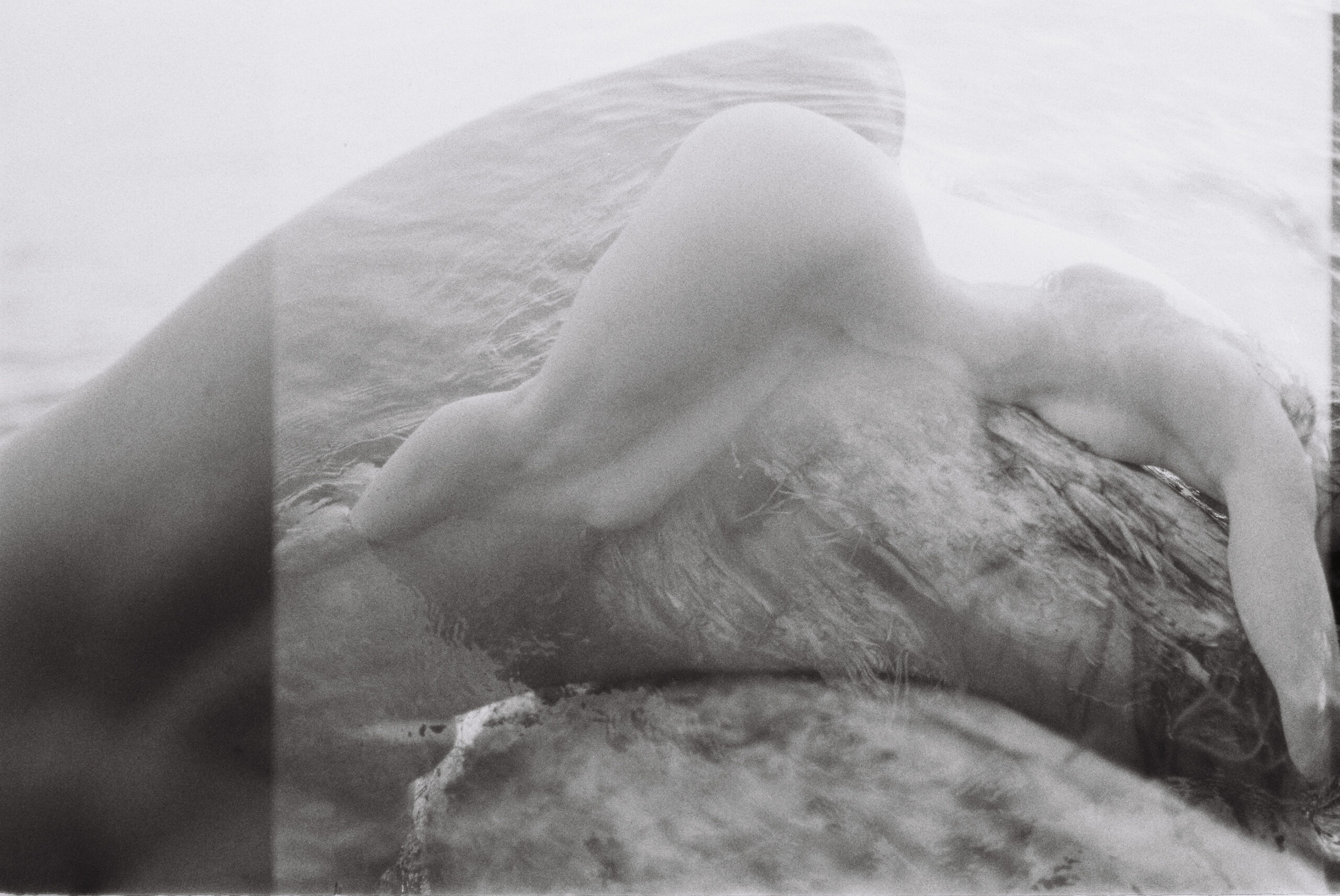 Fine art film photography by Steph Varasteh