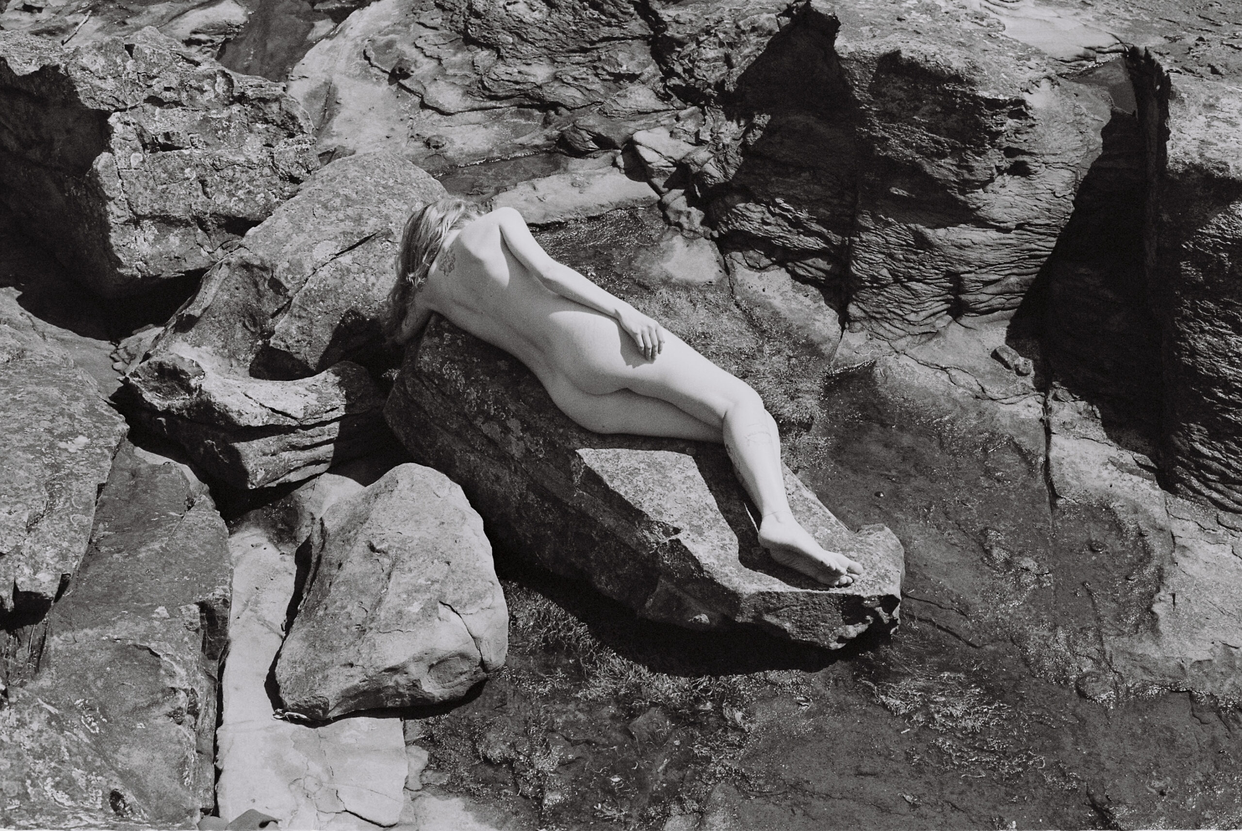 Fine art film photography by Steph Varasteh
