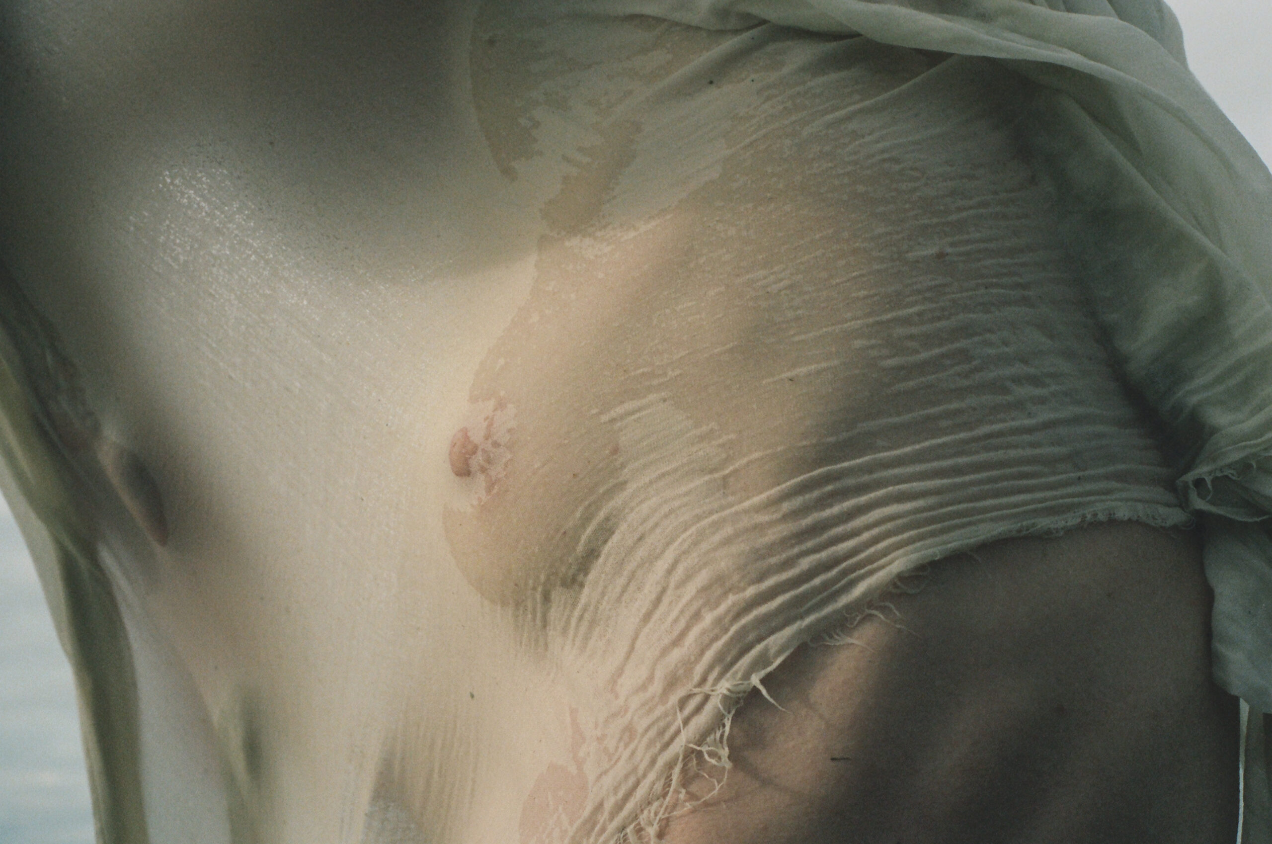 Fine art film photography by Steph Varasteh